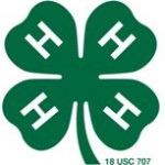 4-H Logo