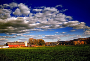 Trends and influences on Wisconsin farmland values